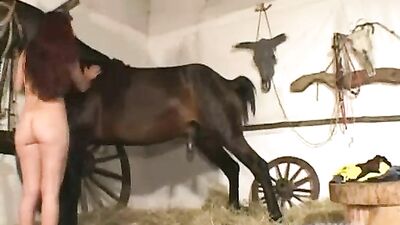 Young Girl Shocks Parents by Attempting to Have Intercourse with Horse at Home