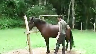 Breaking the Boundaries: Human and Horse Unite Like Never Before