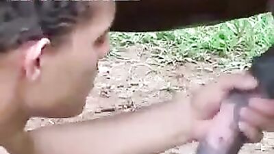 Breaking the Boundaries: Human and Horse Unite Like Never Before