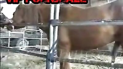 Man Fucks Horse's Ass: A Tale of Unconventional Love