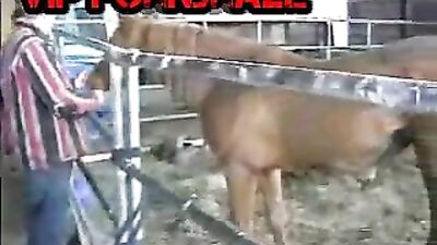Man Fucks Horse's Ass: A Tale of Unconventional Love