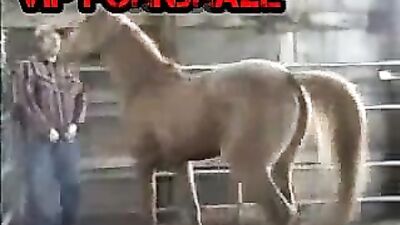 Man Fucks Horse's Ass: A Tale of Unconventional Love