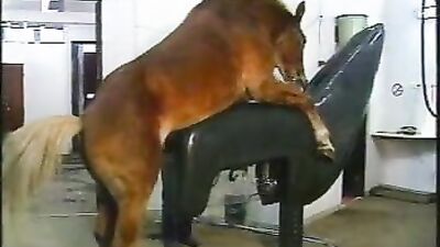 Discover the Wild Side of Sex: Exploring the Unique Bond Between Man and Horse