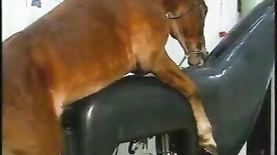 Discover the Wild Side of Sex: Exploring the Unique Bond Between Man and Horse