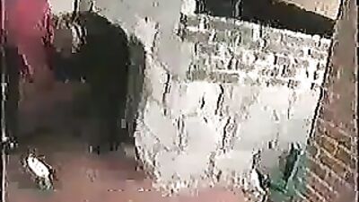 Warning: This Free Porn Video Is Not For the Faint-Hearted: Dog Sex Unleashed