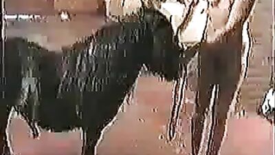 Warning: This Free Porn Video Is Not For the Faint-Hearted: Dog Sex Unleashed