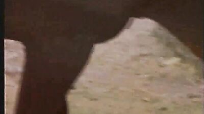 Blonde Girl Enjoys Wild Ride with Horse Porn