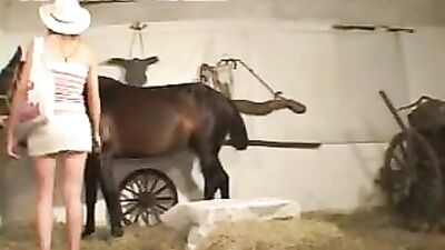 Guy Horse Lucky Gets Sucked In By Blonde's Seductive Charm