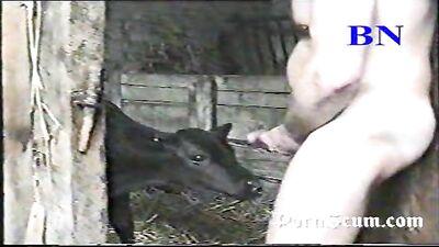 Watch Free Amateur Porn Videos Now - No Strings Attached