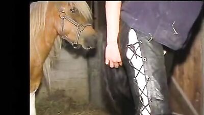 Outrageous: Home Made Bestiality With Horse Caught on Camera
