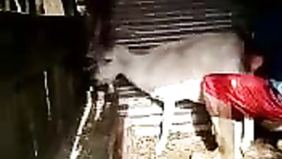 Goats Gone Wild: The Unbelievable Fun of Fucking with Goats