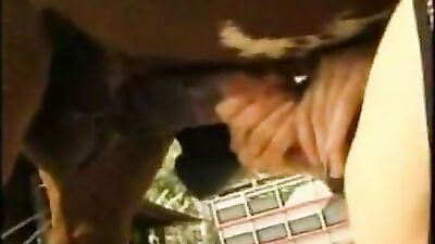 Raunchy Teen Unleashed: I Absolutely Love Having Sex with a Horse