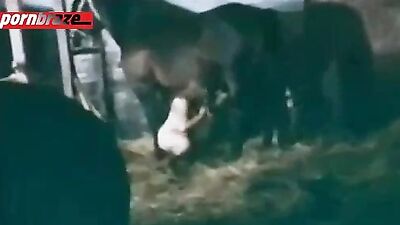 Unbridled Passion: Experience the Ultimate BBW Sex Horse