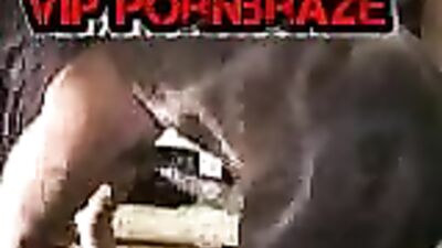 Unbelievable Super Dick Horse Delivers a Mind-Blowing Performance with Tight Ass Fucking
