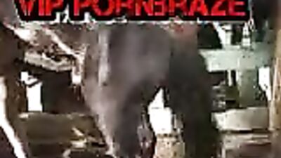 Unbelievable Super Dick Horse Delivers a Mind-Blowing Performance with Tight Ass Fucking