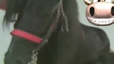 Wild Ride: Two Girls Get Horny with Horse Cum