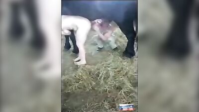 A Horrifying Tale of Oral Sex Gone Wrong: Experiencing the Unimaginable With a Horse's Dick