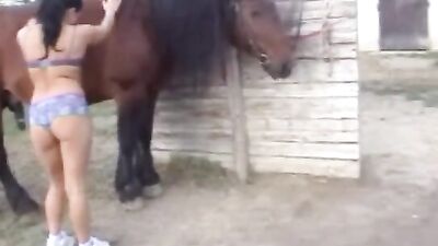 She Did the Unthinkable: This Woman's Wild Ride with a Horse's Member