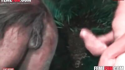 Blonde Girl and Strong Horse: An Unforgettable Horse Sex Experience