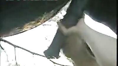 Experience the Wild Ride of Taking Dick Horse to Lustful Pussy