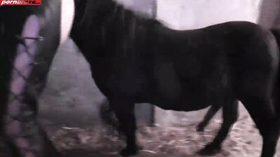 Unbelievable Outrage: Little Pony Caught Fucking Young Girl