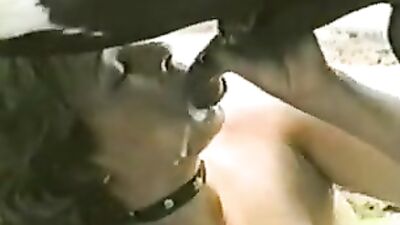 Experience Unbelievable Pleasure with Horse Sex – Cum in Her Mouth for Free
