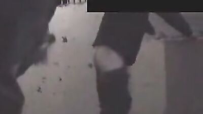 Unbelievable: Human Engages in 'Horse F*cking' – What Could Possibly Go Wrong?