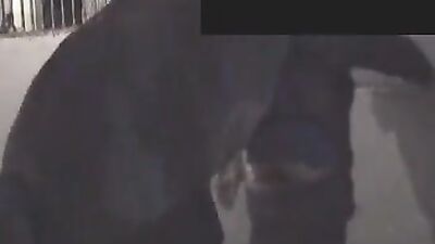 Unbelievable: Human Engages in 'Horse F*cking' – What Could Possibly Go Wrong?