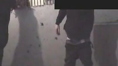 Unbelievable: Human Engages in 'Horse F*cking' – What Could Possibly Go Wrong?