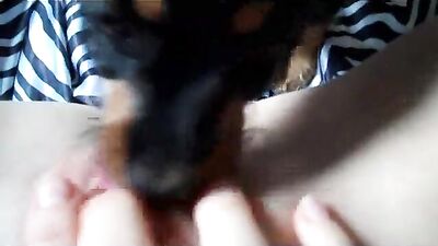 Puppy Helps Owner To Cum