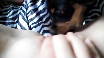 Puppy Helps Owner To Cum