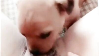 Puppy licks pussy deep