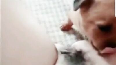 Puppy licks pussy deep