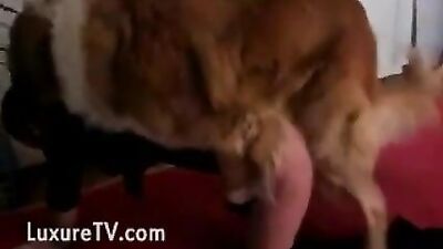 Petite drips dog cum