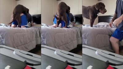 My dog fucking me