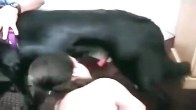 Novinha and the Black Dog 4
