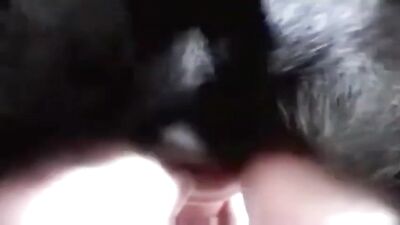 Novinha and the Black Dog 4