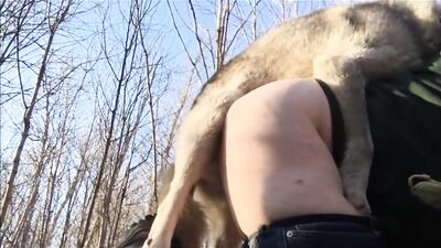 getting into the woods