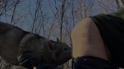 getting into the woods