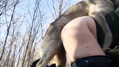 getting into the woods
