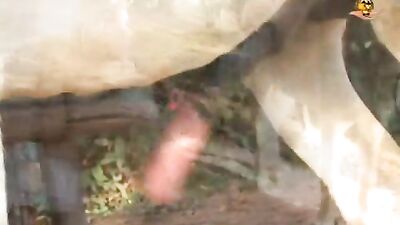 kinky blonde horsecocklover playing