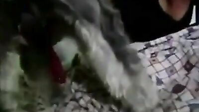 loves dog cock-1