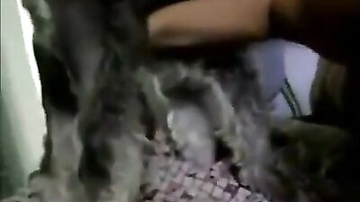 loves dog cock-1