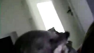 loves dog cock-2