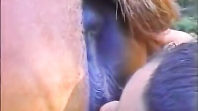 Lezbos sluts playing with a Mare
