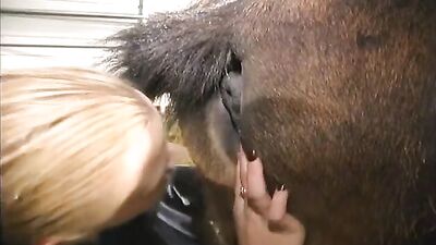 Lesbian licking out mare