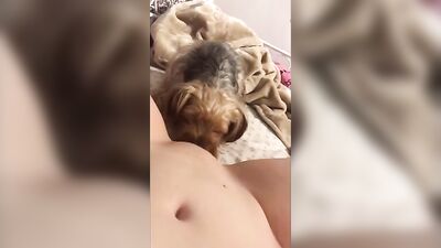 Hot teens pussy and ass licked