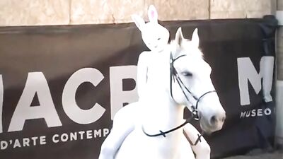 horse riffing