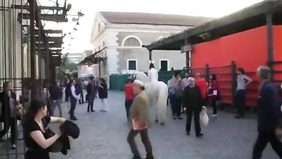 horse riffing