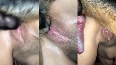 Homemade dog sex